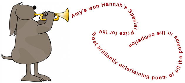 Children's Poetry Competition - Hannah's Special Prize