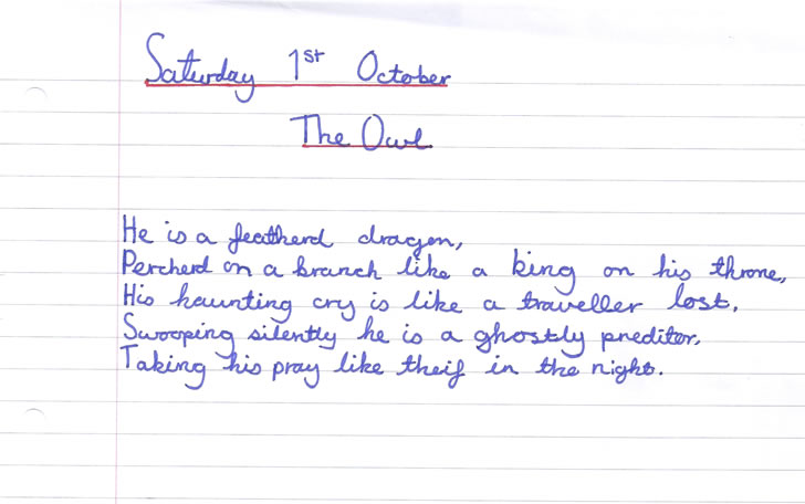 The Owl, a poem by Holly