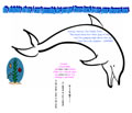 A shape poem about life beneath the sea